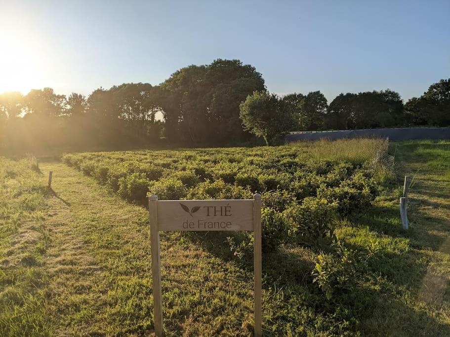 Maison Typique Bretonne Avec Toit De Chaume Holiday home Camors